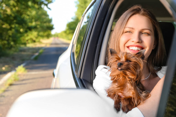 Mujer feliz con lindo perro en coche moderno - Foto, Imagen