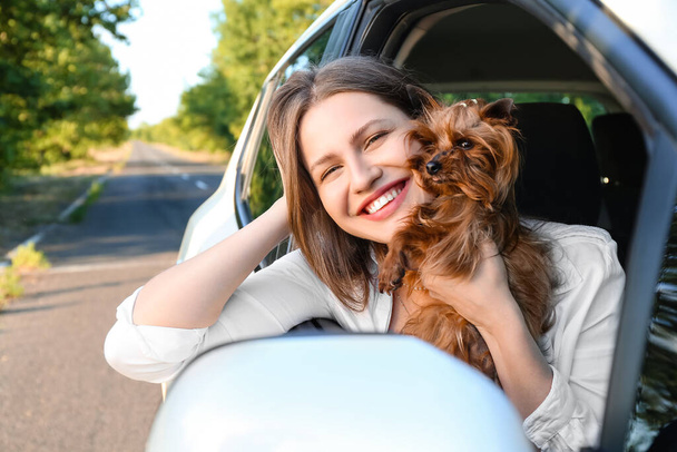 Mujer feliz con lindo perro en coche moderno - Foto, imagen
