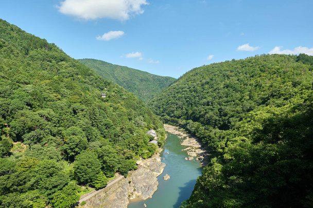 A beautiful view of the river surrounded by trees and greenery in a mountain - Photo, Image