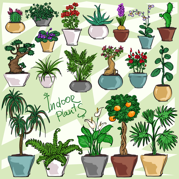 Plantas de interior - Vetor, Imagem