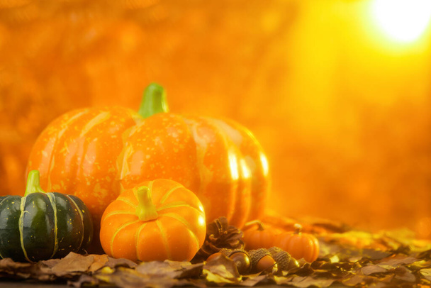 A selective focus shot of pumpkins and autumn leaves - Thanksgiving concept - Valokuva, kuva