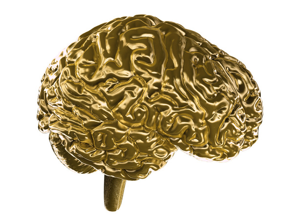 黄金の脳 - 写真・画像