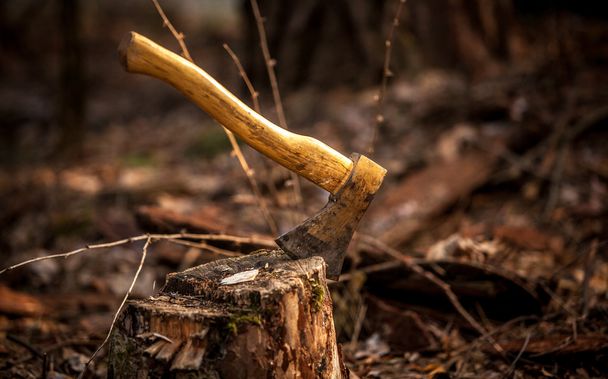 Photo of axe in stump - Photo, Image