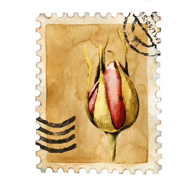 Pieczęć pocztowa, stempel pocztowy. Klasyczna róża, jagody jemioły. Akwarela ręcznie rysowane ilustracji izolowane na białym tle. Projekt poczty, korespondencja pocztowa, scrapbooking, ręcznie robione, pocztówki - Zdjęcie, obraz