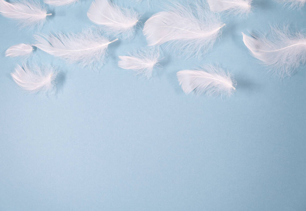 witte veren in de vorm van wolken op een blauwe achtergrond. lichte delicate textuur met plaats voor tekst - Foto, afbeelding