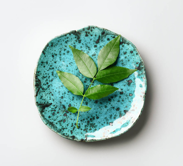 Assiette avec des feuilles de frêne vert sur fond blanc - Photo, image