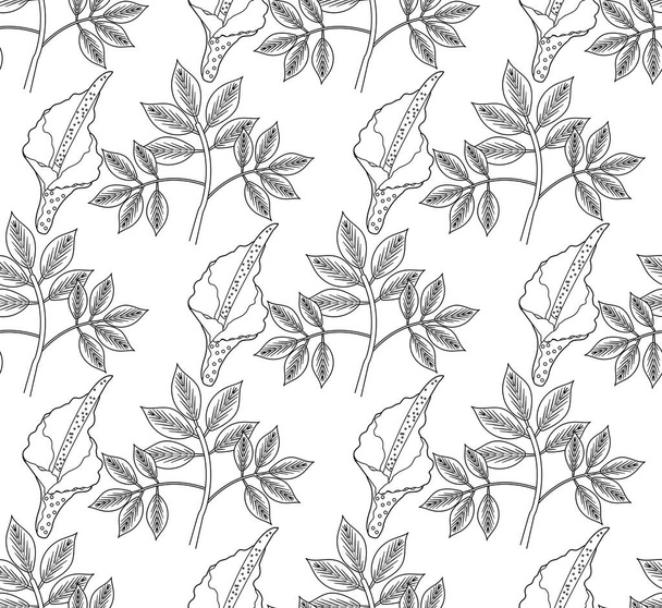 Amorphophallus konjac planta patrón sin costura dibujo a mano esquema estilo de línea. Konjak repetición de textura, fondo sin fin. Ilustración vectorial - Vector, Imagen