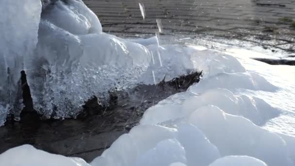 water stroomt uit de lente in de winter en bevriest - Video