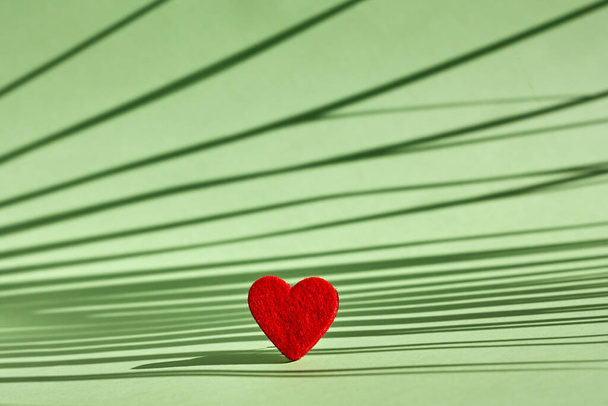 Rood vilten hart op pastel lichtgroene achtergrond met een schaduw van palmblad. Valentijnsdag. Romantiek wenskaart. Begrepen, ruimte. Minimalisme. - Foto, afbeelding
