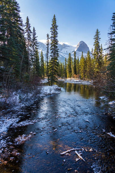 Natural forest trail scenery in early winter season sunny day morning. Spur Line Trail, landscape in Town Canmore, Alberta, Canada. - Φωτογραφία, εικόνα