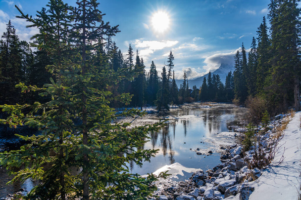 Paisagem de trilha florestal natural no início da temporada de inverno manhã dia ensolarado. Spur Line Trail, paisagem em Town Canmore, Alberta, Canadá. - Foto, Imagem