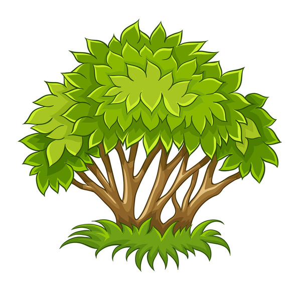 Bush with green leaf - Vektori, kuva