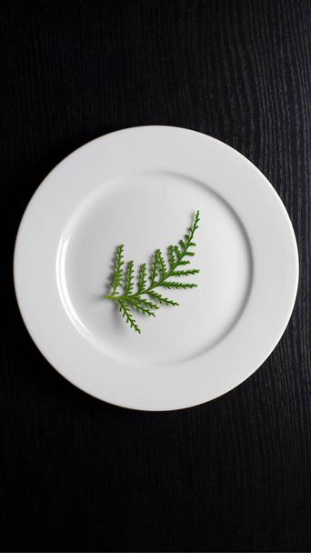 Vegetarianism, diet. A round, white plate with a green twig on a black wooden background - Фото, зображення