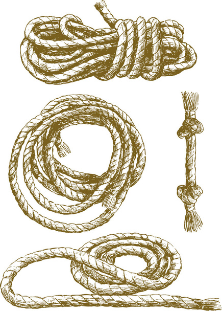 мотузка
 - Вектор, зображення