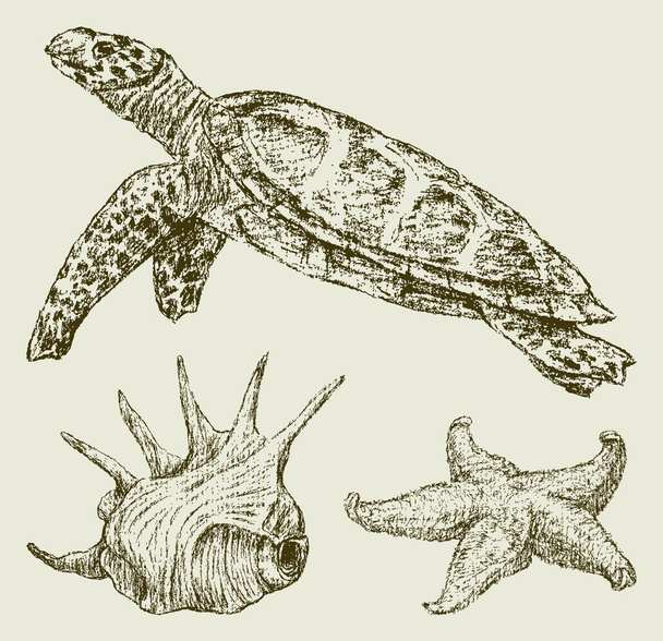 Sea creatures - Vector, afbeelding