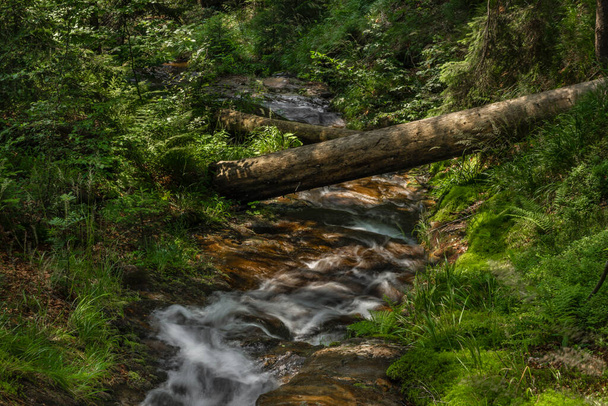 Небольшой водопад возле деревни Куты-над-Десну в летний день в лесу - Фото, изображение