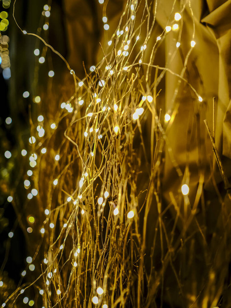 たくさんのクリスマスライトワイヤーが小枝に輝いています。高品質の写真 - 写真・画像