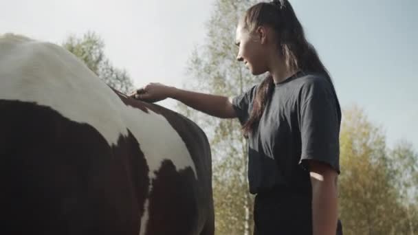 Po ekscytującym spacerze po polach na koniu, dziewczyna myje swoją klacz na świeżym powietrzu - Materiał filmowy, wideo