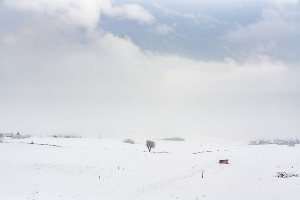 Scenic winter season landscape in altopiano di asiago - Photo, Image