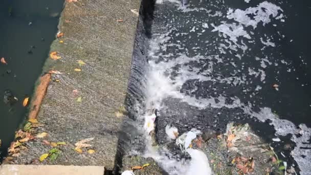 salvador, bahia, brasilien - 9. Dezember 2020: Offener Abwasserkanal in der Region Lucaia in der Stadt Salvador.  - Filmmaterial, Video