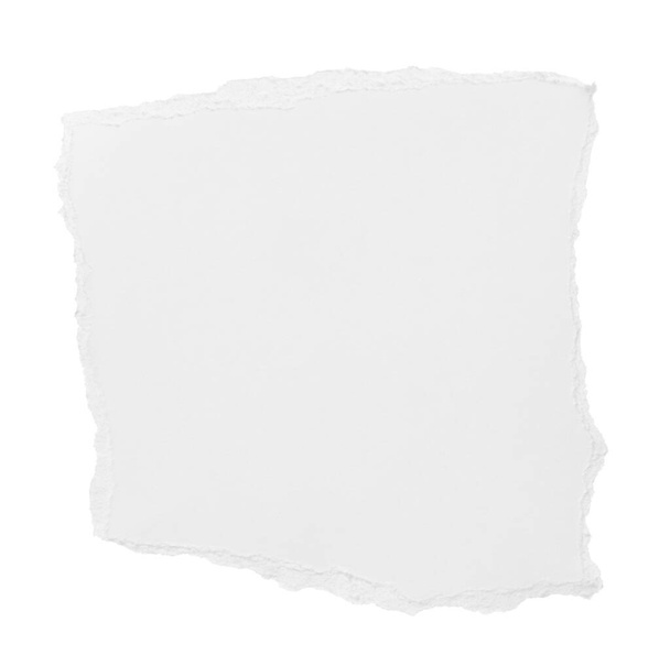 colección de pedazos de papel blanco rasgado sobre fondo blanco. cada uno se dispara por separado - Foto, Imagen