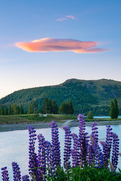 As sun sets focus is on a lenticular cloud becomes bright red in clear blue sky above out of focus foreground and over Lake Tekapo in South Island New Zealand. - Photo, Image