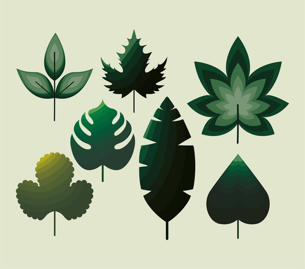 связка листьев иконки зеленого цвета - Вектор,изображение