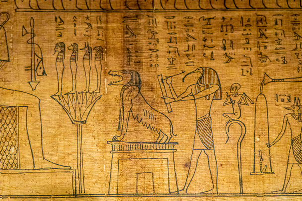 Гліфи в єгипетській книзі мертвих - Фото, зображення