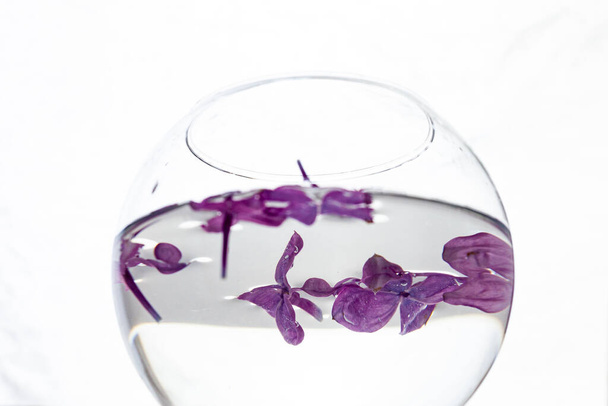a vase of water with lilac flowers floating in it - Foto, Imagem