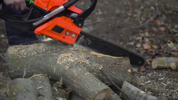 Sawing log with chainsaw. Cutting trees concept - 映像、動画