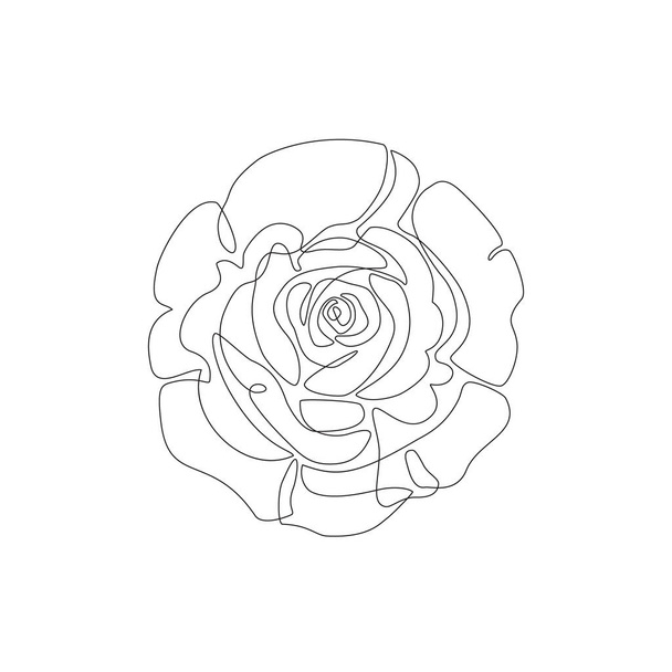 Astratto una linea arte di rosa in fiore. Splendida composizione floreale isolata su sfondo bianco. Disegno di linea continuo per un design moderno alla moda. Illustrazione di fiori vettoriali in stile minimale - Vettoriali, immagini