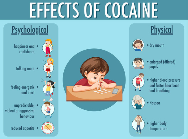 Вплив інформаційної інфографіки кокаїну
 - Вектор, зображення