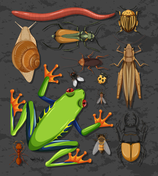 Joukko erilaisia hyönteisiä eristetty kuva - Vektori, kuva