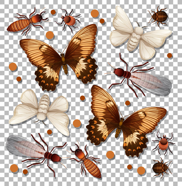 Conjunto de diferentes insectos sobre fondo transparente ilustración - Vector, imagen