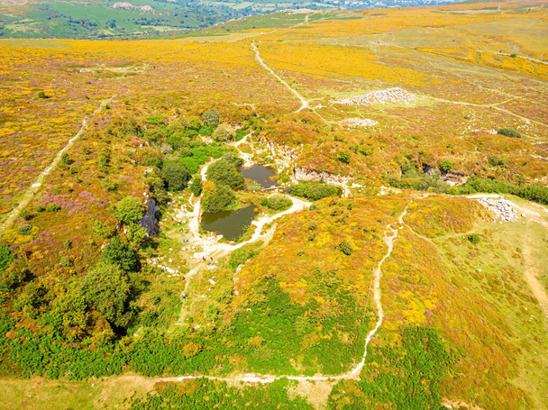Вид на скелі Гейтор у національному парку Дартмур - це безкраї болота в графстві Девон, що на південному заході Англії. - Фото, зображення