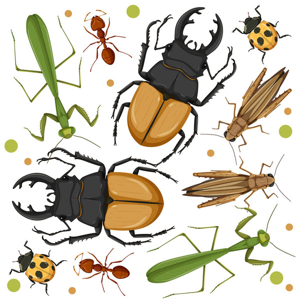 Zestaw różnych owadów na białym tle ilustracji - Wektor, obraz