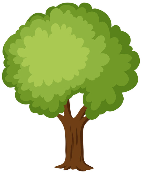 Isolated tree on white background illustration - Vector, Image