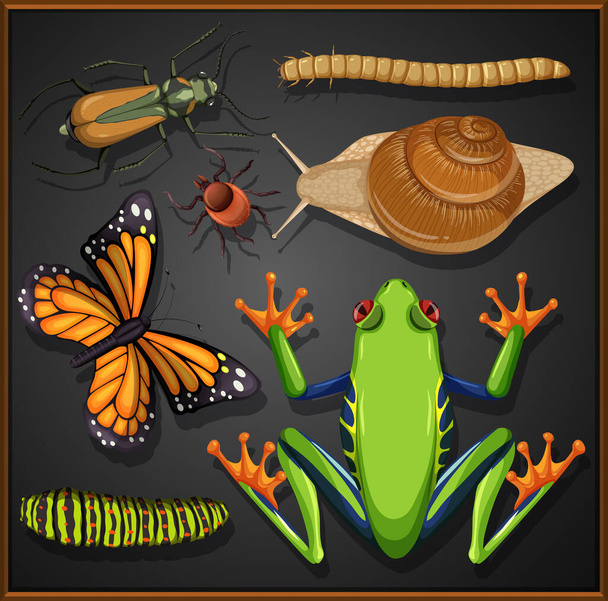 Набор различных насекомых на черном фоне - Вектор,изображение