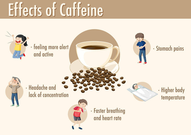 Efectos de la información de cafeína ilustración infográfica - Vector, Imagen