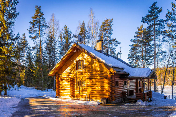 冬の森の木造住宅 - 写真・画像