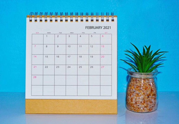 Calendário de fevereiro de 2021 com fundos azuis e planta em vaso - Foto, Imagem