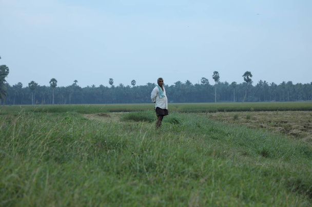Indian Farmer at Fields - Photo, Image