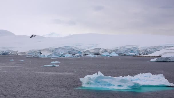 海の氷山は薄い青です。海の後ろに長い氷山があります. - 映像、動画