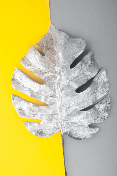 Silver monstera leaf on trendy 2021 colors as illuminating and ultimate grey background - Photo, Image