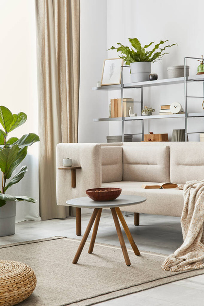 Cozy interior with stylish sofa, grey coffee table, bookcase, plants, carpet, decoration, copy space and elegant personal accessories. Neutral living room in classic house. Template. - 写真・画像