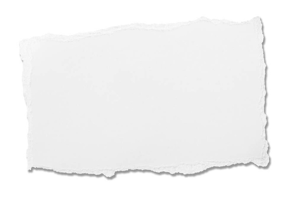 colección de pedazos de papel blanco rasgado sobre fondo blanco. cada uno se dispara por separado - Foto, imagen