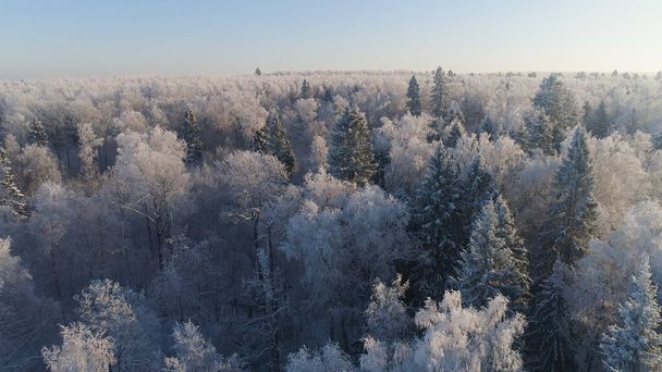 зимовий пейзаж у сільській місцевості
 - Фото, зображення