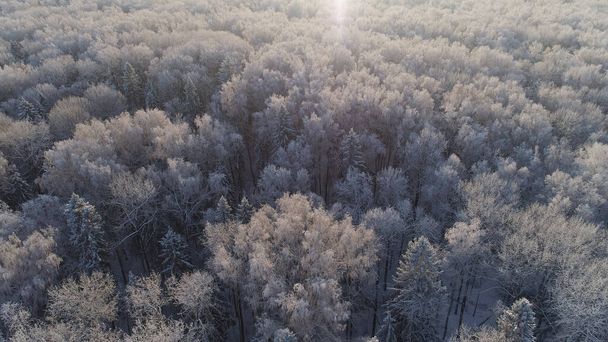 зимовий пейзаж у сільській місцевості
 - Фото, зображення