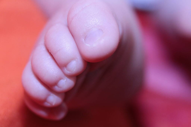 macro detail van pasgeboren baby voet. Hoge kwaliteit foto - Foto, afbeelding