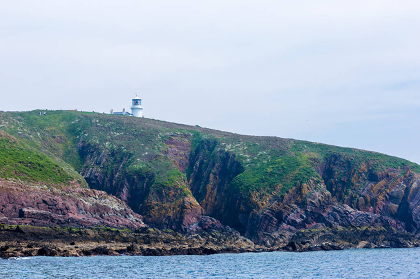 Phoques marins sur l'île de Caldey au Pays de Galles - Photo, image